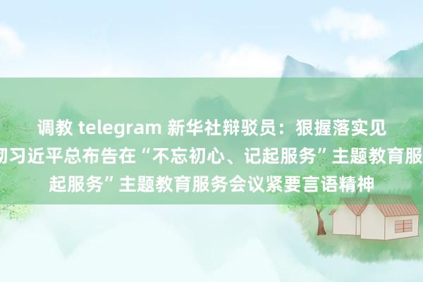 调教 telegram 新华社辩驳员：狠握落实见行为——五论学习贯彻习近平总布告在“不忘初心、记起服务”主题教育服务会议紧要言语精神