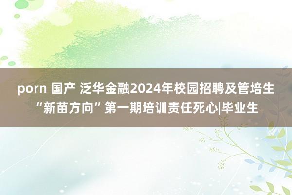 porn 国产 泛华金融2024年校园招聘及管培生“新苗方向”第一期培训责任死心|毕业生