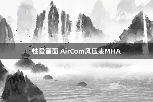 性爱画面 AirCom风压表MHA