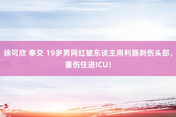 徐可欣 拳交 19岁男网红被东谈主用利器刺伤头部，重伤住进ICU！