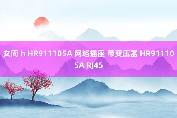 女同 h HR911105A 网络插座 带变压器 HR911105A RJ45